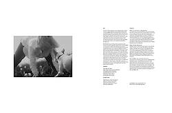 CYRILL MATTER&#039;s new publication LIGHT LITTLE HEART with LOU SCHOOF